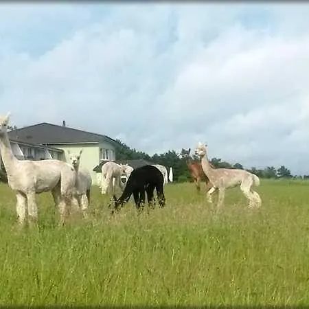 Maeckelborg Am Schoenen Woblitzsee Lejlighed Wesenberg